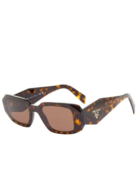 prada pr 17ws brown